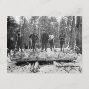 Vintage Loggers Postcard