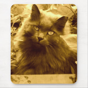 Vintage Long Haired Russian Blue Cat Mouse Mat