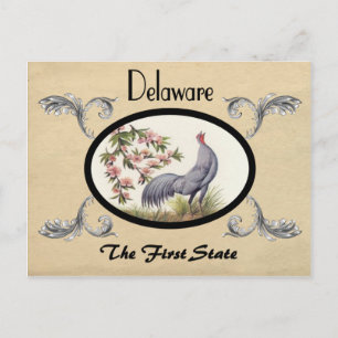Vintage Look Old Postcard Delaware State