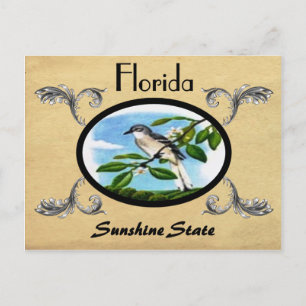 Vintage Look Old Postcard Florida State
