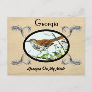 Vintage Look Old Postcard Georgia Stste