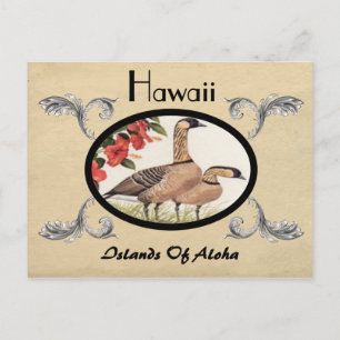 Vintage Look Old Postcard Hawaii State