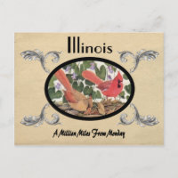 Vintage Look Old Postcard Illinois State