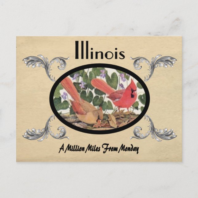 Vintage Look Old Postcard Illinois State (Front)