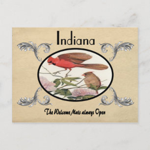 Vintage Look Old Postcard Indiana State