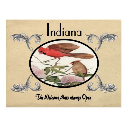 Vintage Look Old Postcard Indiana State