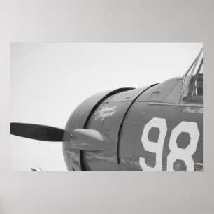 Vintage Look Plane Canvas Poster