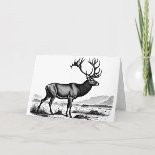 Vintage-Looking Engraving of a Reindeer Birthday Card
