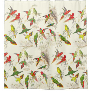 Vintage Lorikeet Parrot Birds Wildlife Animals Shower Curtain