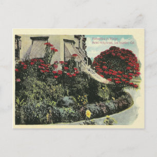 Vintage Los Angeles California Postcard