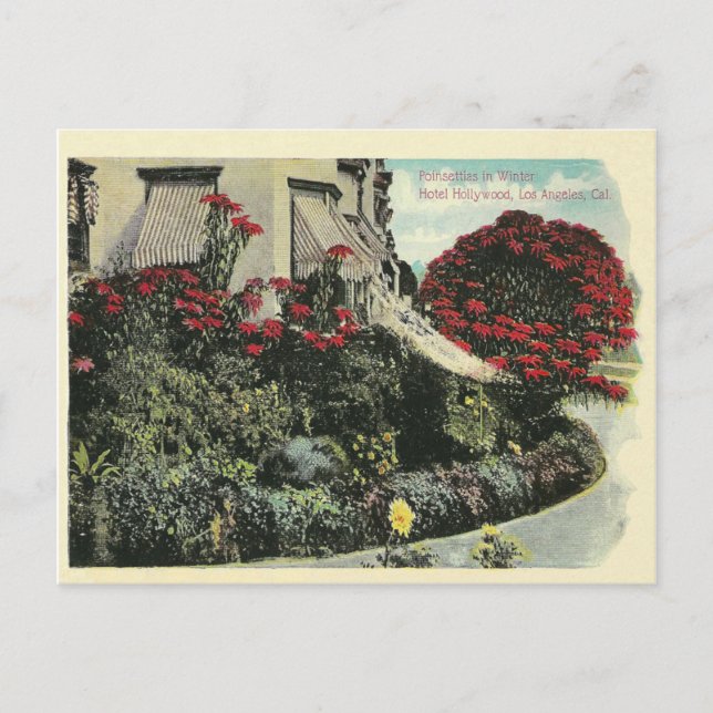 Vintage Los Angeles California Postcard (Front)