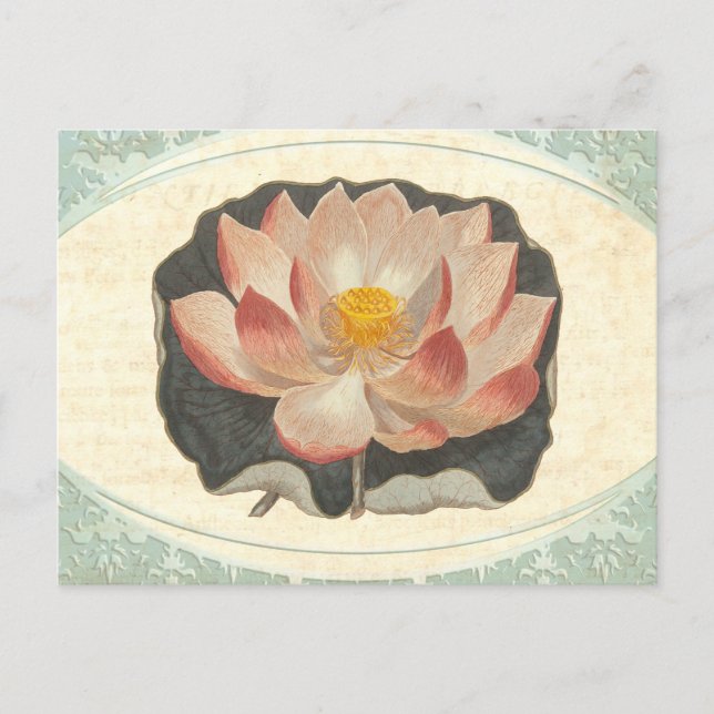 Vintage Lotus Damask Elegant Antique Botanical Postcard (Front)