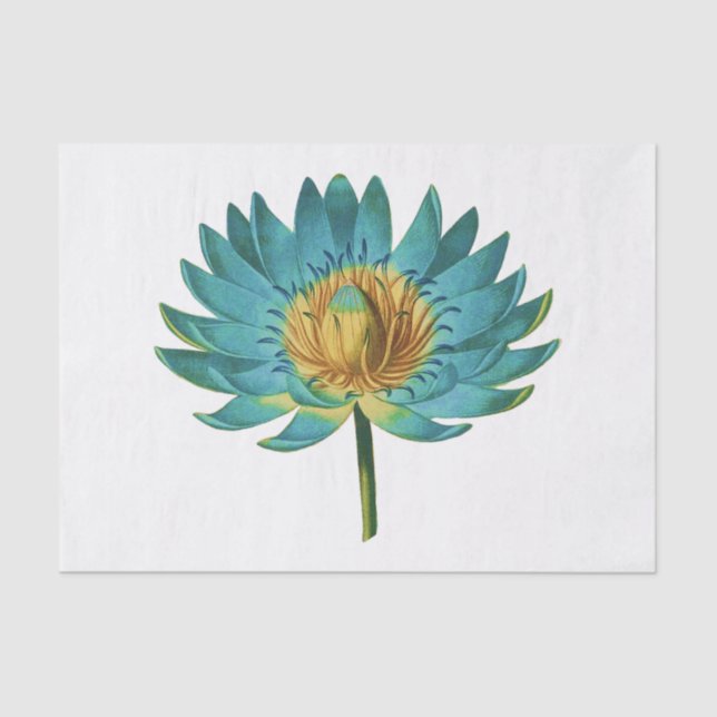 Vintage Lotus Flower #2 Tissue Paper (Front)