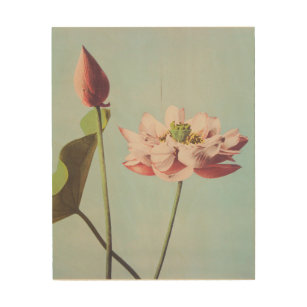 Lotus Flower Wood Wall Art Zazzle Co Uk