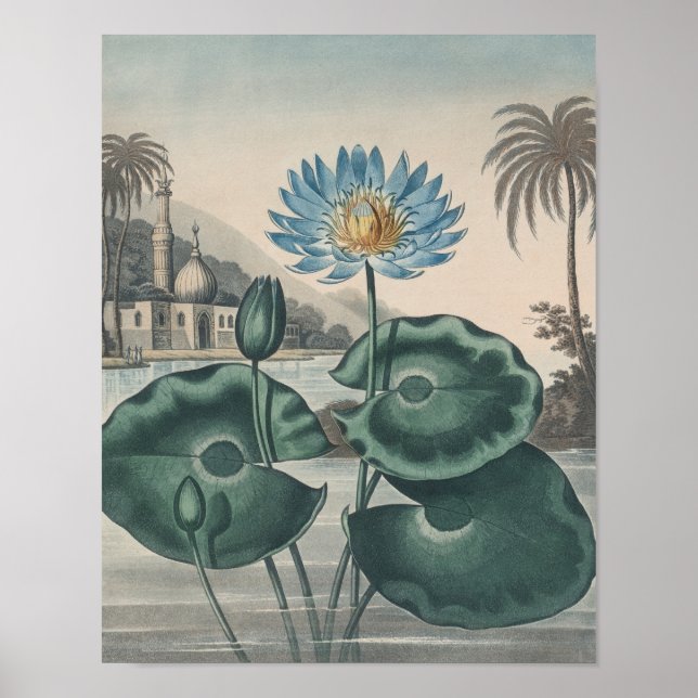 Vintage Lotus Poster (Front)