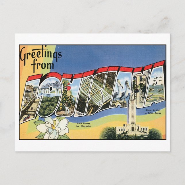 Vintage Louisiana Postcard (Front)
