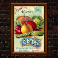 Vintage Louisville Seed Catalogue Advertising