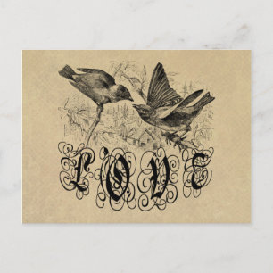 Vintage Love Birds Apparel and Gifts Postcard
