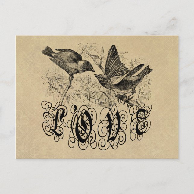 Vintage Love Birds Apparel and Gifts Postcard (Front)