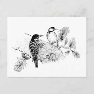 Vintage Love Birds Wedding Save The Date Invitation Postcard