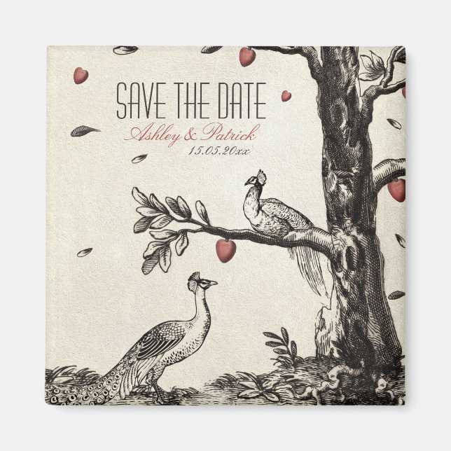 Vintage Love Peacock on A Love Tree Magnet (Front)