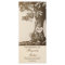 vintage love tree wedding programs