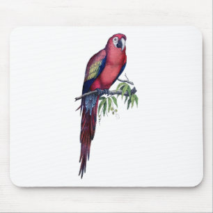 Vintage Macaw Bird Mouse Mat