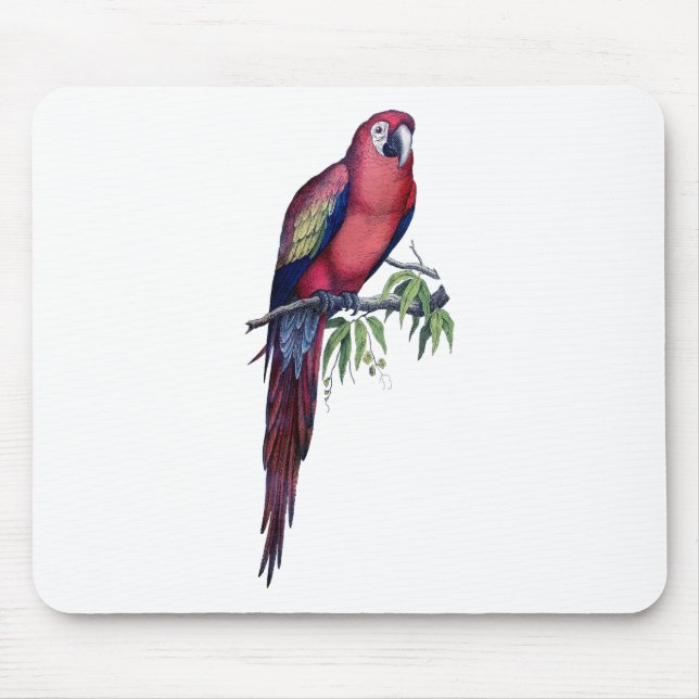 Vintage Macaw Bird Mouse Mat (Front)