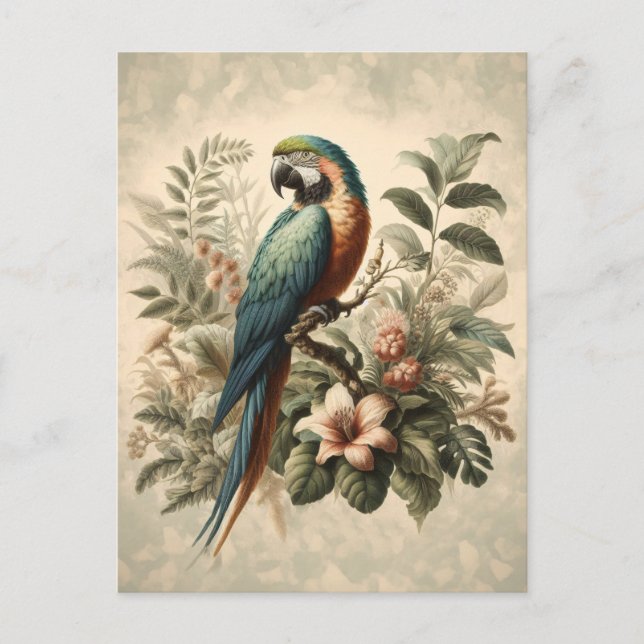 Vintage Macaw Botanical Painting Postcard (Front)