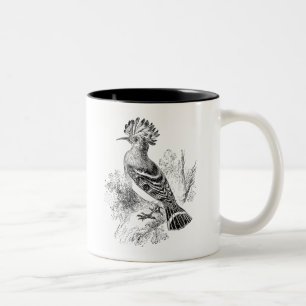 Vintage Madagascar Hoopoe Bird Personalised Birds Two-Tone Coffee Mug