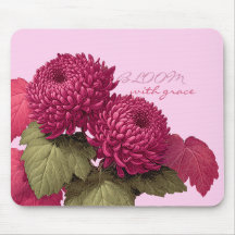 Vintage Magenta Chrysanthemum Botanical