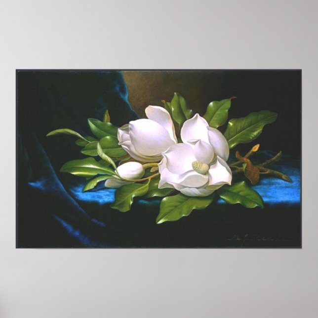 Vintage Magnolia (circa 1890) Print (Front)
