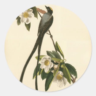 Vintage Magnolia Floral Bird Flycatcher Custom Classic Round Sticker