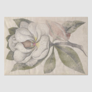 Vintage Magnolia Flower Botanical Decoupage Tissue Paper