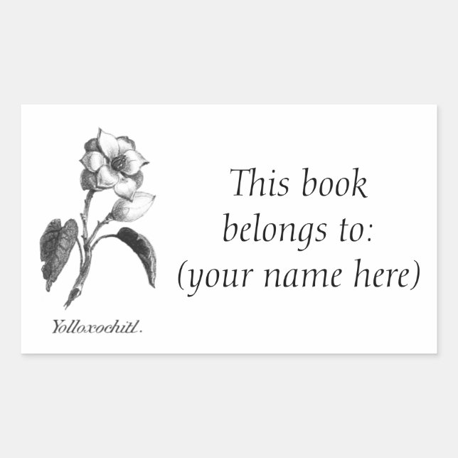 Vintage magnolia flower etching bookplate rectangular sticker (Front)