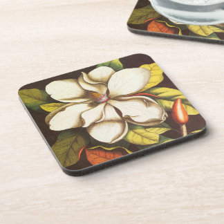 Vintage Magnolia Flowers Plant With Seeds Coaster