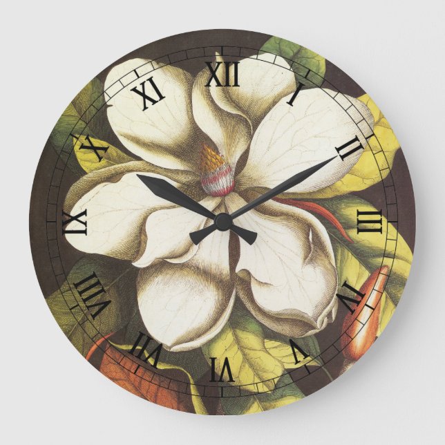Vintage Magnolia Flowers Plant With Seeds Large Clock (Front)