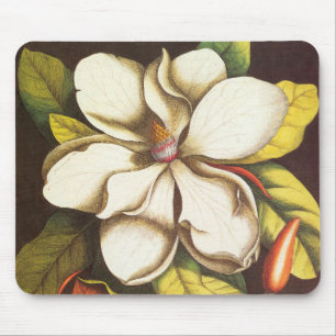 Vintage Magnolia Flowers Plant With Seeds Mouse Mat