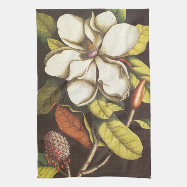 Vintage Magnolia Flowers Plant With Seeds Tea Towel (Vertical)