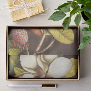 Vintage Magnolia Flowers Plant With Seeds Tissue Paper