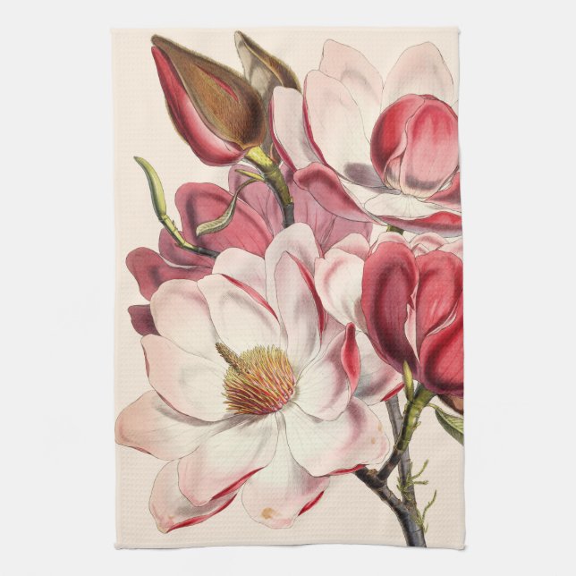 Vintage Magnolia Tea Towel (Vertical)