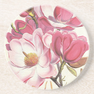Vintage Magnolia Tree Blossom, Pink Garden Flowers Coaster