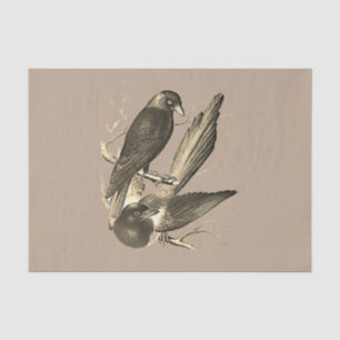Vintage magpie and jack daw  - sepia tissue paper