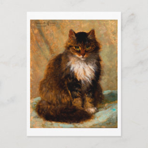 Vintage Maine Coon Cat Fine Art Portrait Postcard