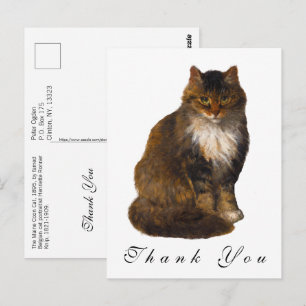 Vintage Maine Coon Cat Painted Portrait Thank You Postcard
