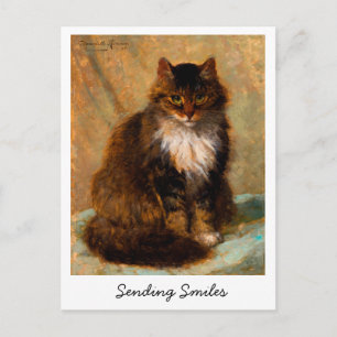 Vintage Maine Coon Cat Sending Smiles           Postcard