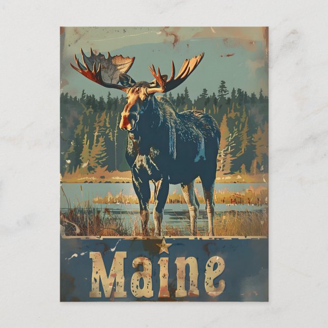 Vintage Maine Moose Postcard (Front)