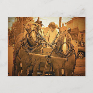 Vintage Maine Postcard