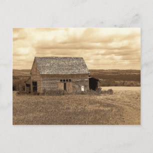 Vintage Maine Postcard