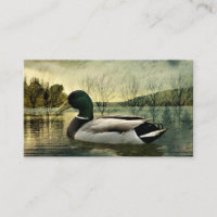 Vintage Mallard Duck Weathered Postcard